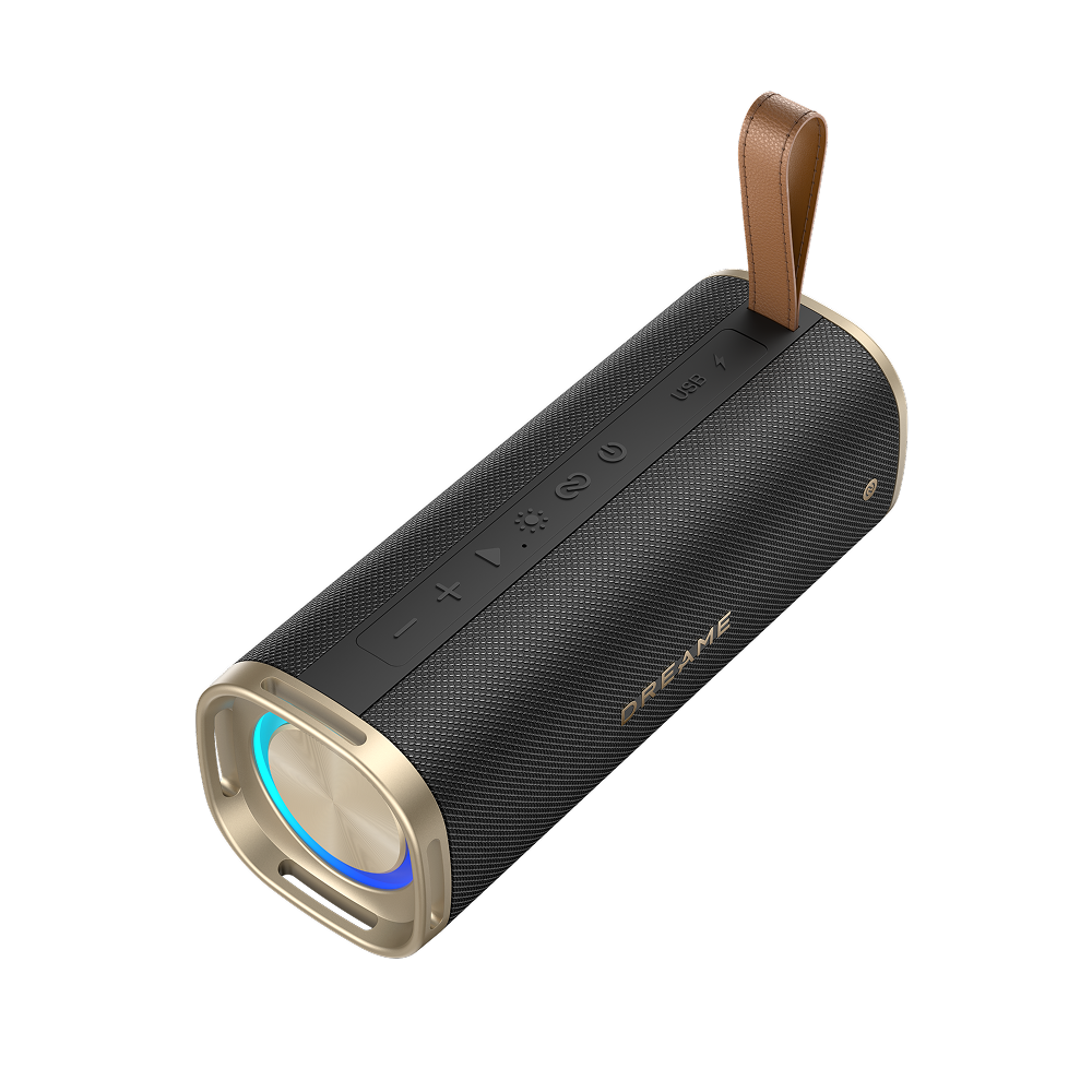 Беспроводная колонка Dreame S10