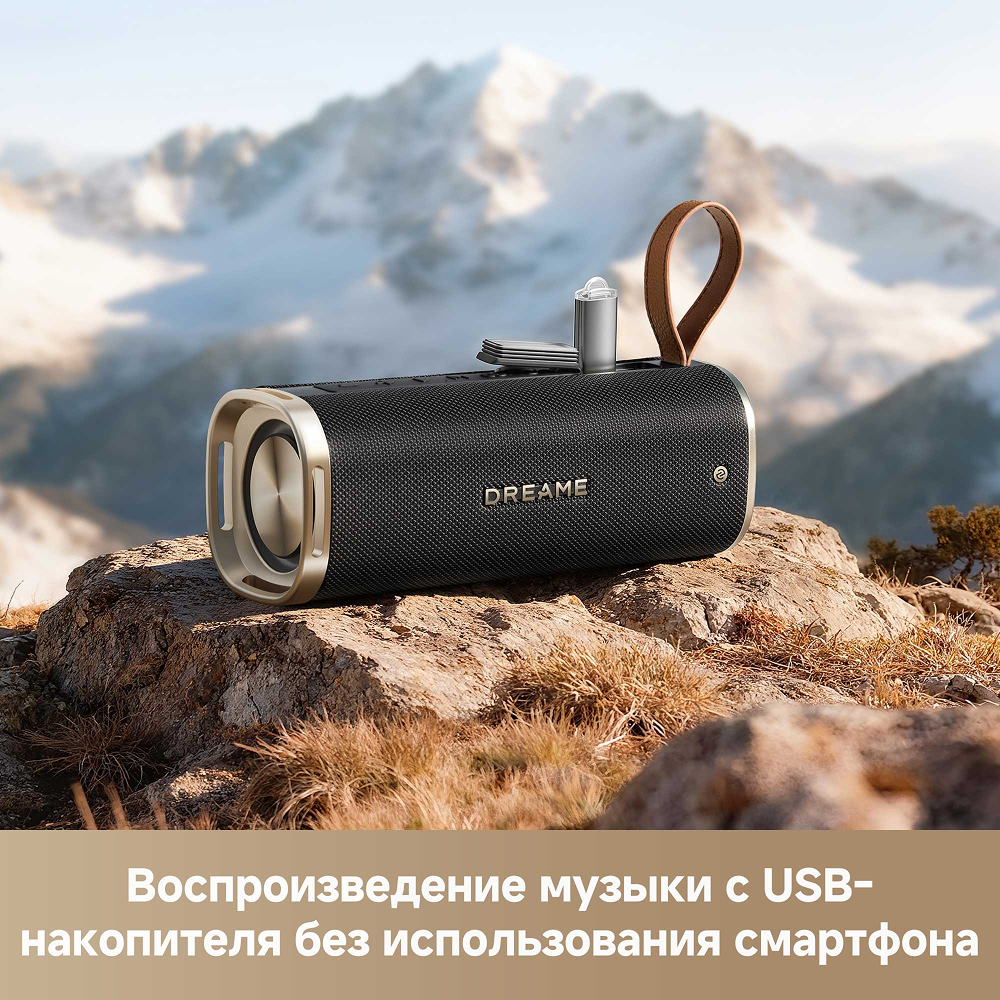 Беспроводная колонка Dreame S10
