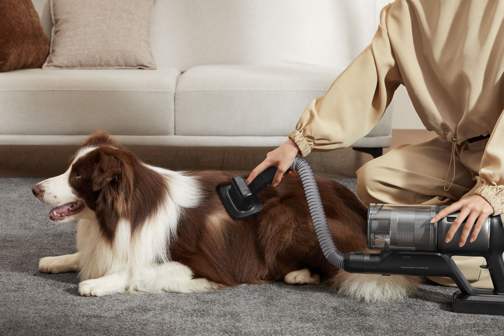 Pet Deshedding Tool.jpg