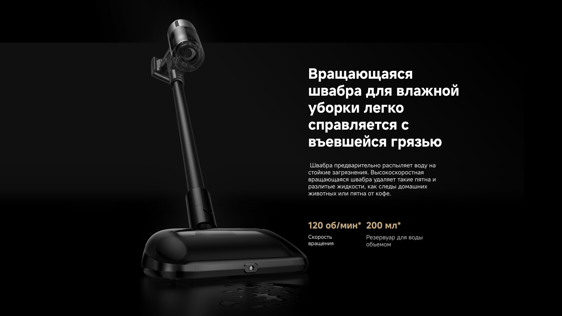 z40667.jpg